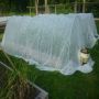 Agriculture Insect Netting