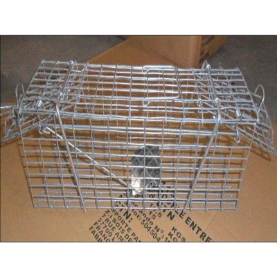 Double Doors Cage Trap