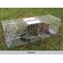 Possum Cage Trap