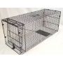 Armadillo Cage Trap